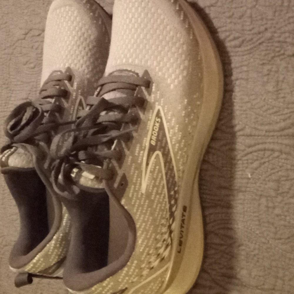 Brooks Levitate 5